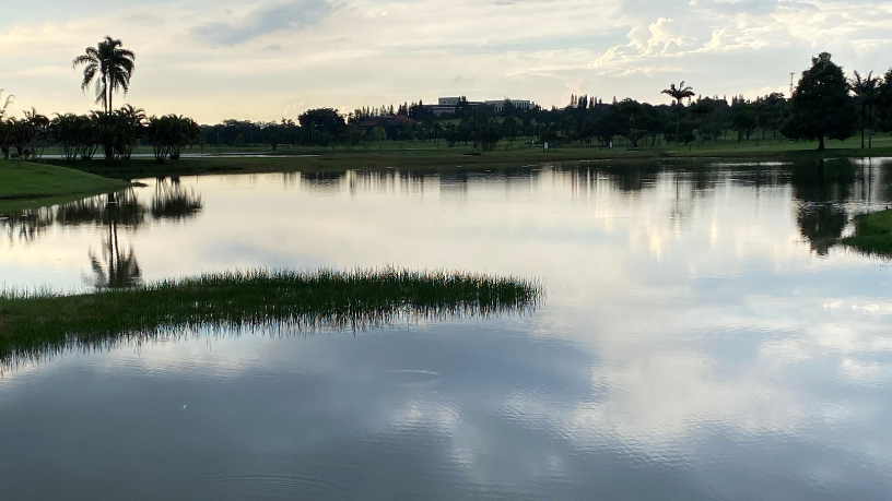 Descubra com Dr. Milton Seigi Hayashi por que o golf é sinônimo de elegância e atenção aos detalhes.

