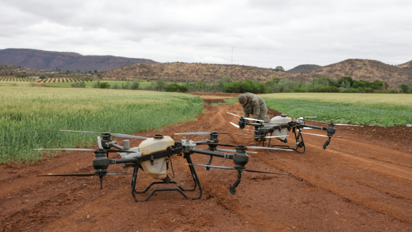 Monitoramento aéreo e análise de dados elevam o nível de eficiência no campo, comenta Fabio Jose Gentil Pereira Rosa.