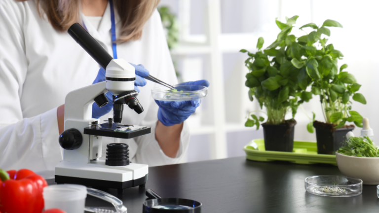 Justiça paulista barra venda de áreas de pesquisa agrícola em São Paulo e reacende debate sobre futuro da ciência no campo Justiça paulista barra venda de áreas de pesquisa agrícola em São Paulo e reacende debate sobre futuro da ciência no campo